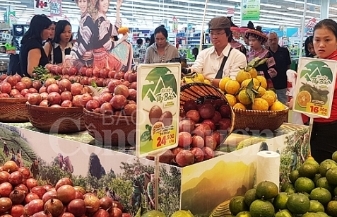“Tuần lễ đặc sản Tây Bắc và các tỉnh miền núi phía Bắc” tại Big C