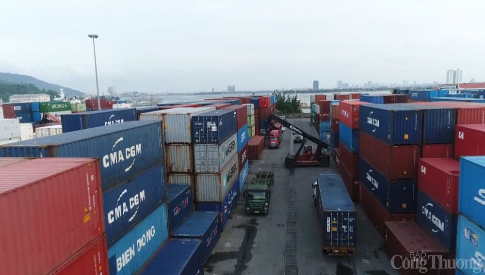 thieu container rong doanh nghiep kien nghi co quan chuc nang som vao cuoc