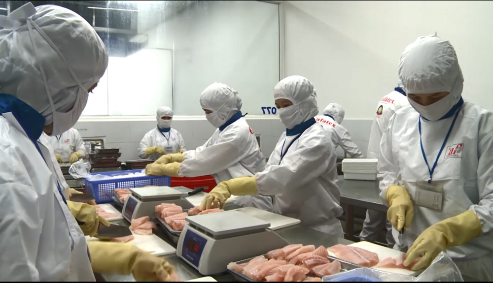 Lạc quan xuất khẩu thủy sản cuối năm và đầu 2021