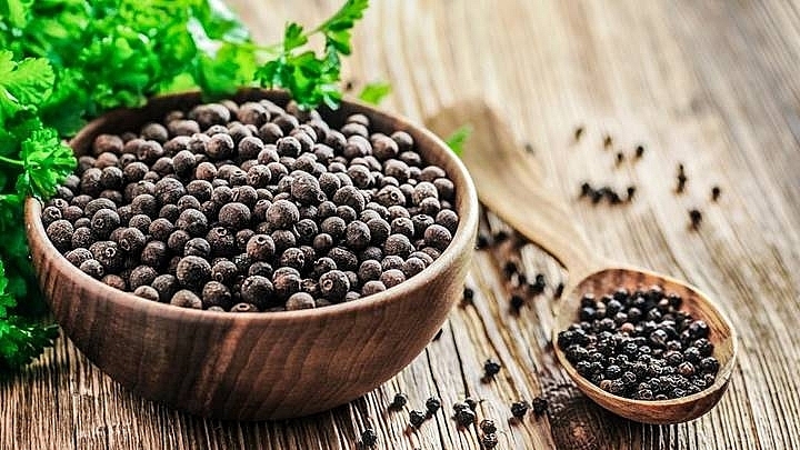 Giá tiêu hôm nay 26/4: Tiếp tục tăng 500 – 1.500 đồng/kg