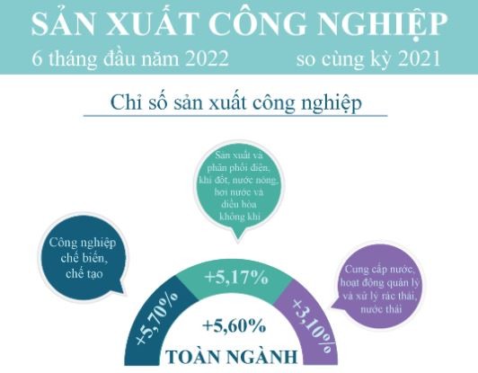 Tiền Giang: Sản xuất công nghiệp vì sao tăng trưởng thấp?