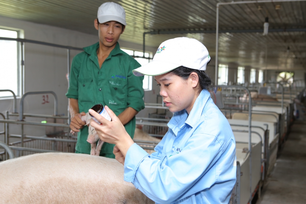 Sức hút của cổ phiếu Nova Consumer – doanh nghiệp mở màn IPO năm 2022
