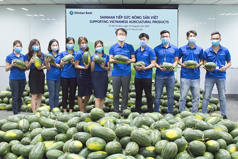 Ngân hàng Shinhan giải cứu "dưa hấu" cho nông dân