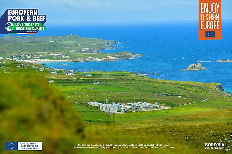 Thịt heo Châu Âu từ Ireland - Sự lựa chọn đáng tin cậy