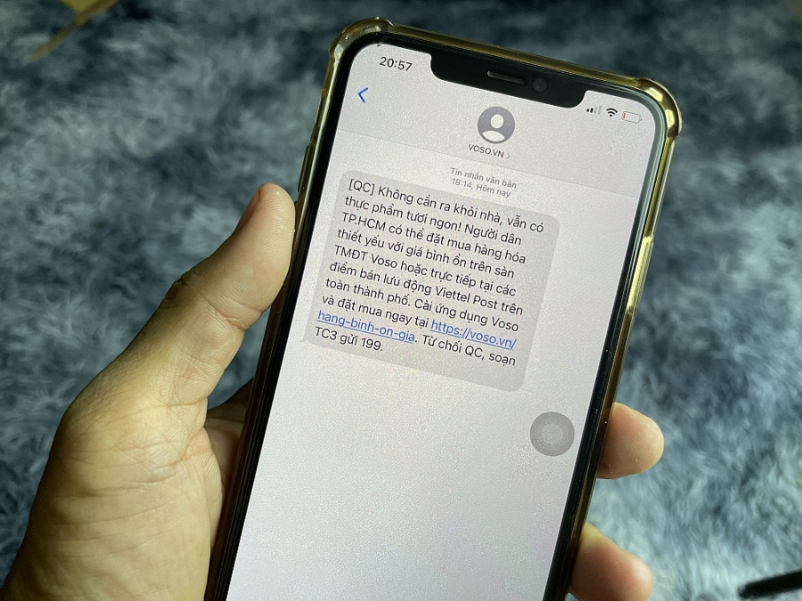 Gần 100 tấn rau củ quả tươi được Vỏ Sò cung ứng cho người dân TP. Hồ Chí Minh