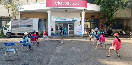 gan 100 tan rau cu qua tuoi duoc vo so cung ung cho nguoi dan tp ho chi minh