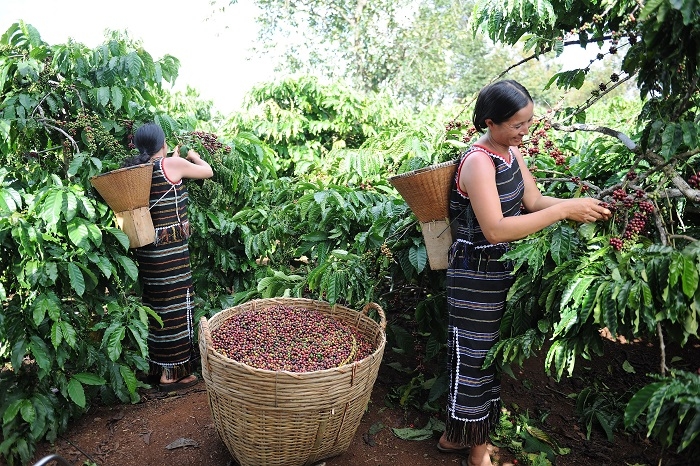 Nestlé là công ty dẫn đầu thực hiện Hiệp ước Toàn cầu của Liên hợp quốc