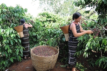 Nestlé là công ty dẫn đầu thực hiện Hiệp ước Toàn cầu của Liên hợp quốc