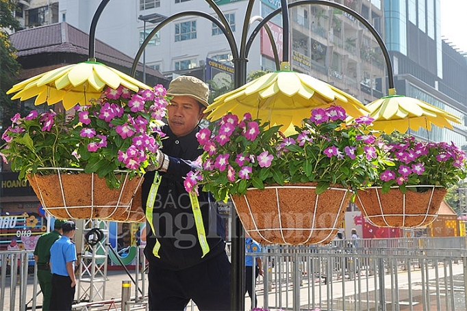 duong hoa nguyen hue dep lung linh truoc gio don khach du xuan