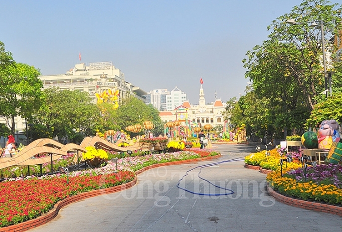 duong hoa nguyen hue dep lung linh truoc gio don khach du xuan