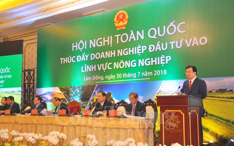 hoi nghi dien hong cho cac doanh nghiep dau tu vao nong nghiep