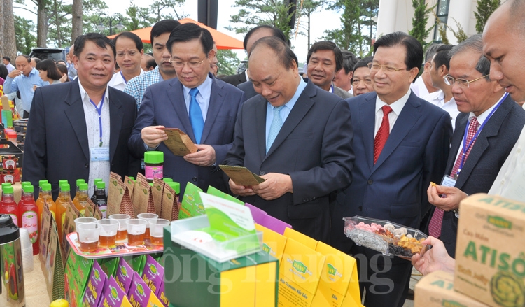 hoi nghi dien hong cho cac doanh nghiep dau tu vao nong nghiep