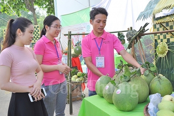  Vượt rào kỹ thuật, nông sản thực phẩm xuất khẩu mạnh vào châu Âu