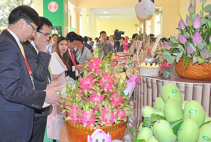 dong thap day manh lien ket vung tieu thu nong dac san dia phuong