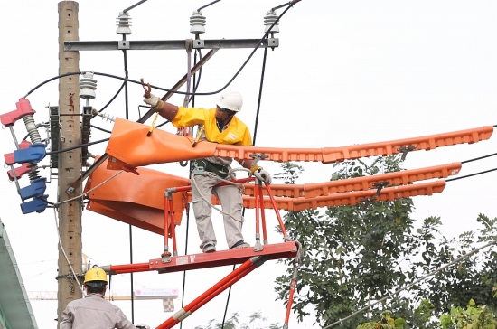 EVNHCMC: Triển khai sửa chữa đường dây mang điện bằng phương pháp mới