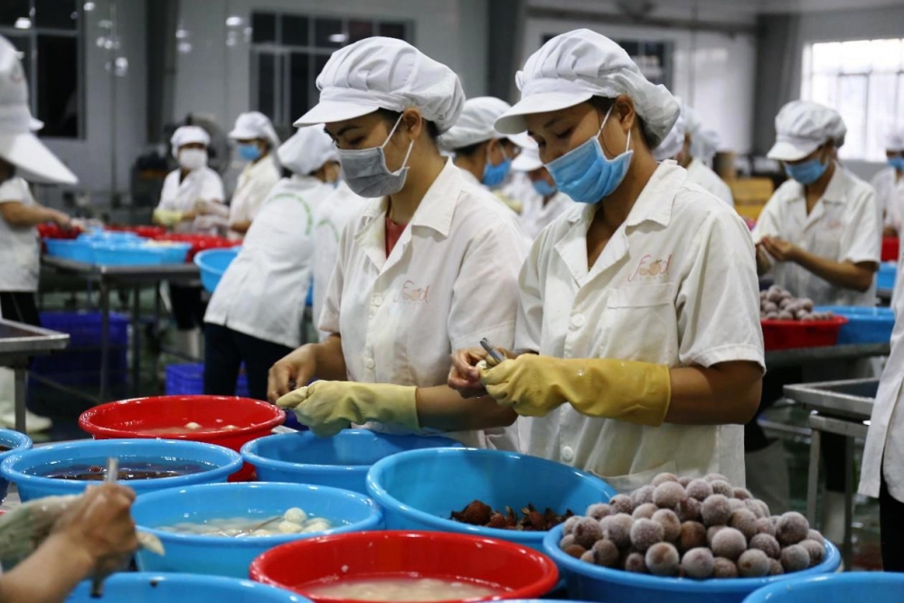 Hồi phục ngành nông nghiệp thực phẩm Việt Nam trong top đầu của khu vực