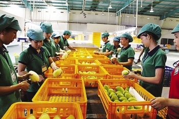 han quoc se ap dung he thong quan ly du luong thuoc bao ve thuc vat mat hang nong san