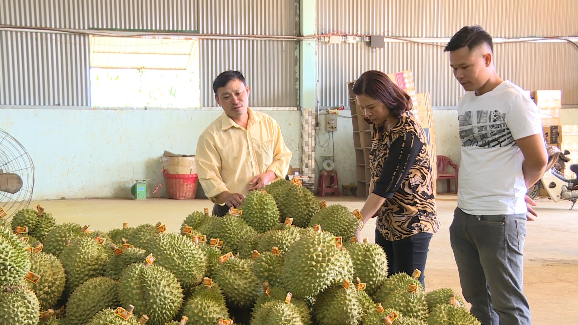 ket noi giao thuong 3 tinh lam dong binh thuan ninh thuan