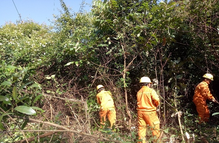 dak nong dam bao an toan dien vao mua mua bao