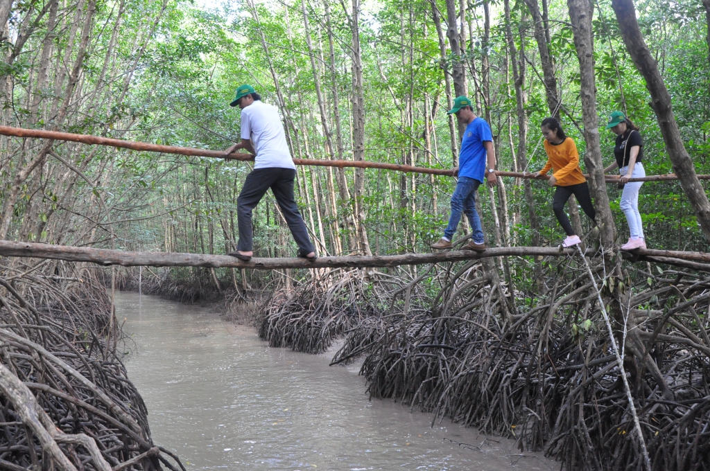 khai truong tuyen tham quan xuyen rung vuon quoc gia mui ca mau