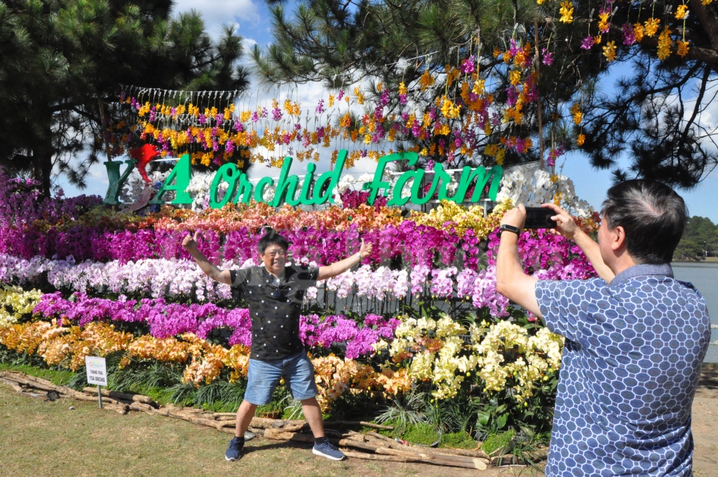 lam dong don hon 250 ngan luot khach trong dip festival hoa