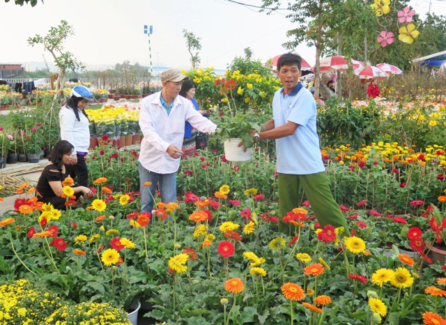 TP. Hồ Chí Minh khai trương chợ hoa Xuân Bình Điền