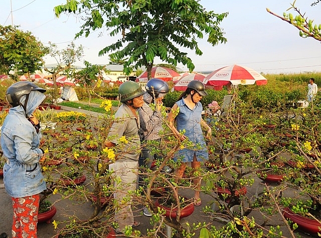 muon sac hoa hoi tu cho hoa xuan binh dien 2019