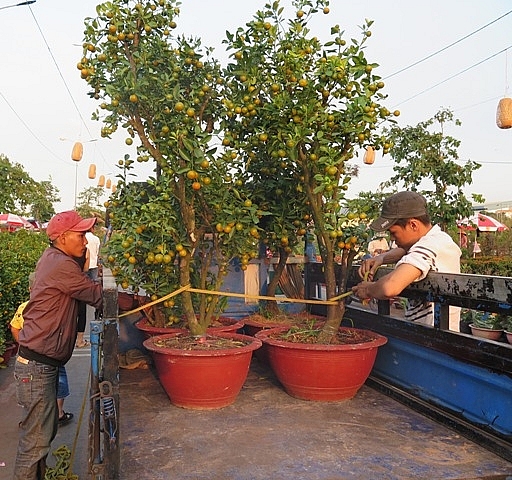 muon sac hoa hoi tu cho hoa xuan binh dien 2019