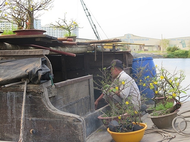 muon sac hoa hoi tu cho hoa xuan binh dien 2019