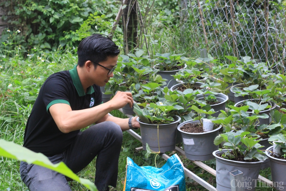 Gom rác thải làm đất sạch  để xuất khẩu