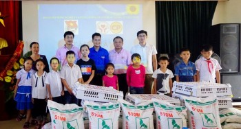 cp viet nam trao tang 25 dan ga con cho tre em hai phong