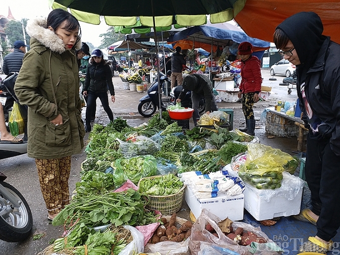 nghe an khan hang rau xanh thit ca tang gia chong mat sau tet