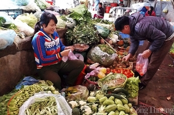 Nghệ An: Khan hàng rau xanh, thịt cá tăng giá chóng mặt sau Tết