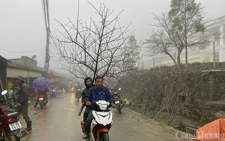 Đêm nhộn nhịp tại chợ hoa đào lớn nhất miền Tây xứ Nghệ