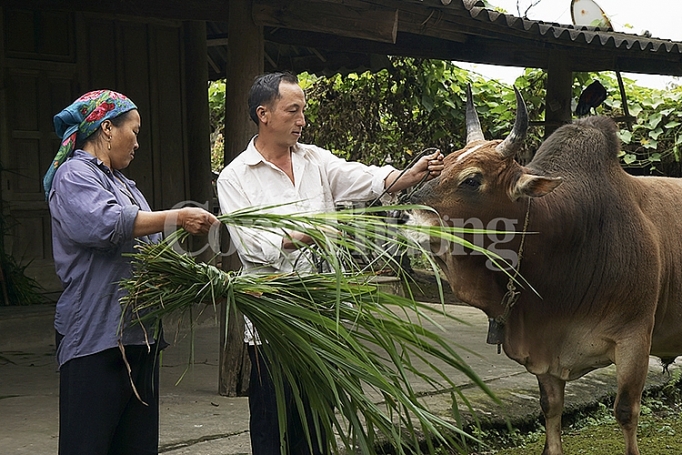 nghe an mo rong tin dung de han che tin dung den