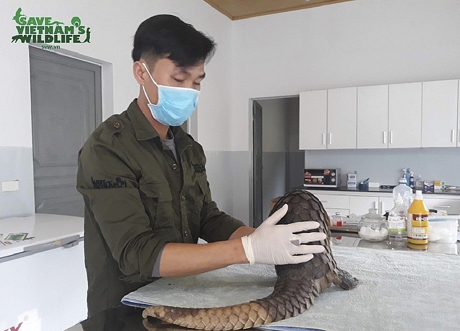 Vườn quốc gia Pù Mát - Hướng tới Vườn di sản ASEAN