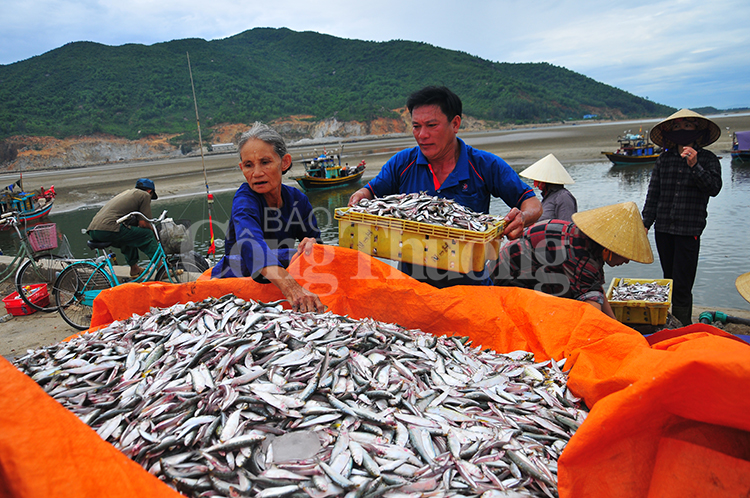 Hoạt động khai thác, xuất khẩu thủy hải sản Hà Tĩnh phục hồi sau hai năm sự cố môi trường biển