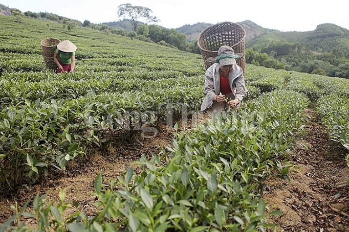 nghe an vi dau dan tai dinh cu thuy dien hoi huong