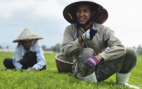 Gặp người 