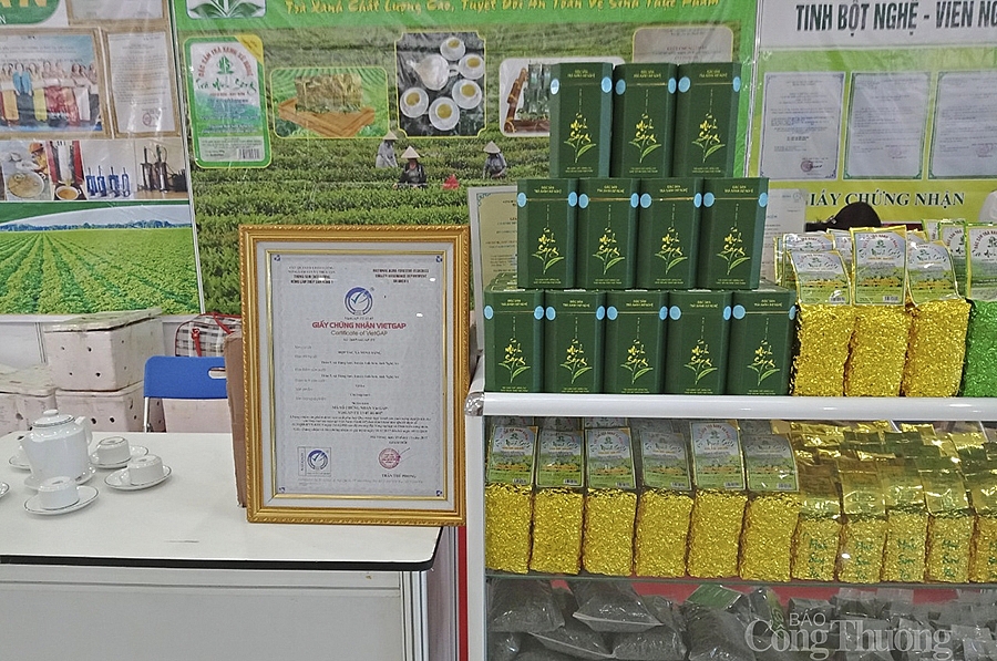 Nghệ An: Nâng cao giá trị chè xanh từ Chương trình OCOP