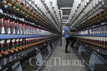 Hà Tĩnh: Sản xuất công nghiệp tăng 31,4% trong tám tháng 2019