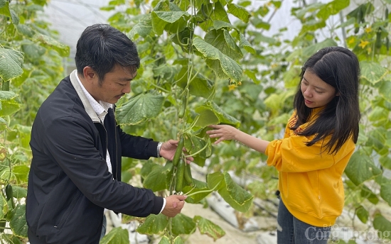 Nghệ An: Tận dụng nông nghiệp công nghệ cao kết hợp tour du lịch trải nghiệm