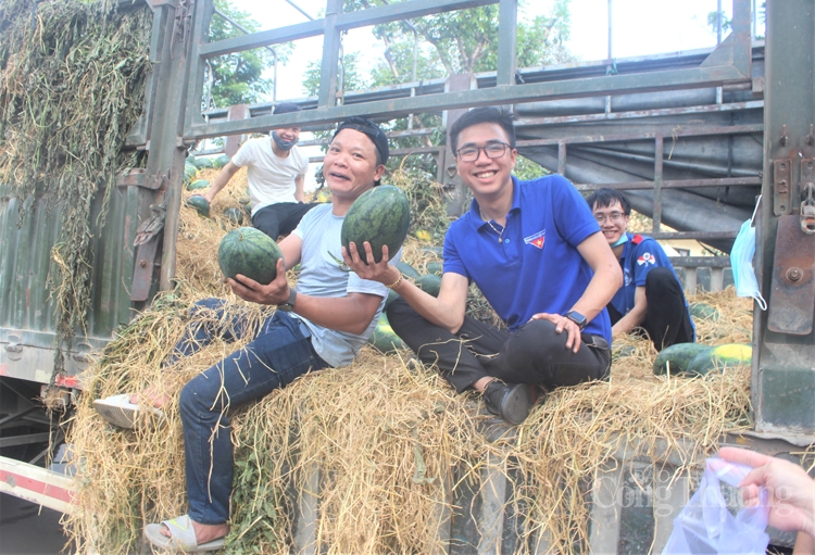 hoi doanh nhan tre thua thien hue ho tro nong dan gia lai ban dua hau