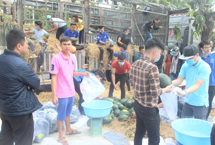 hoi doanh nhan tre thua thien hue ho tro nong dan gia lai ban dua hau