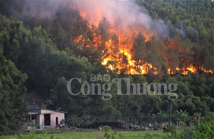 thua thien hue bung phat 4 diem chay rung uy hiep he thong luoi dien 500kv