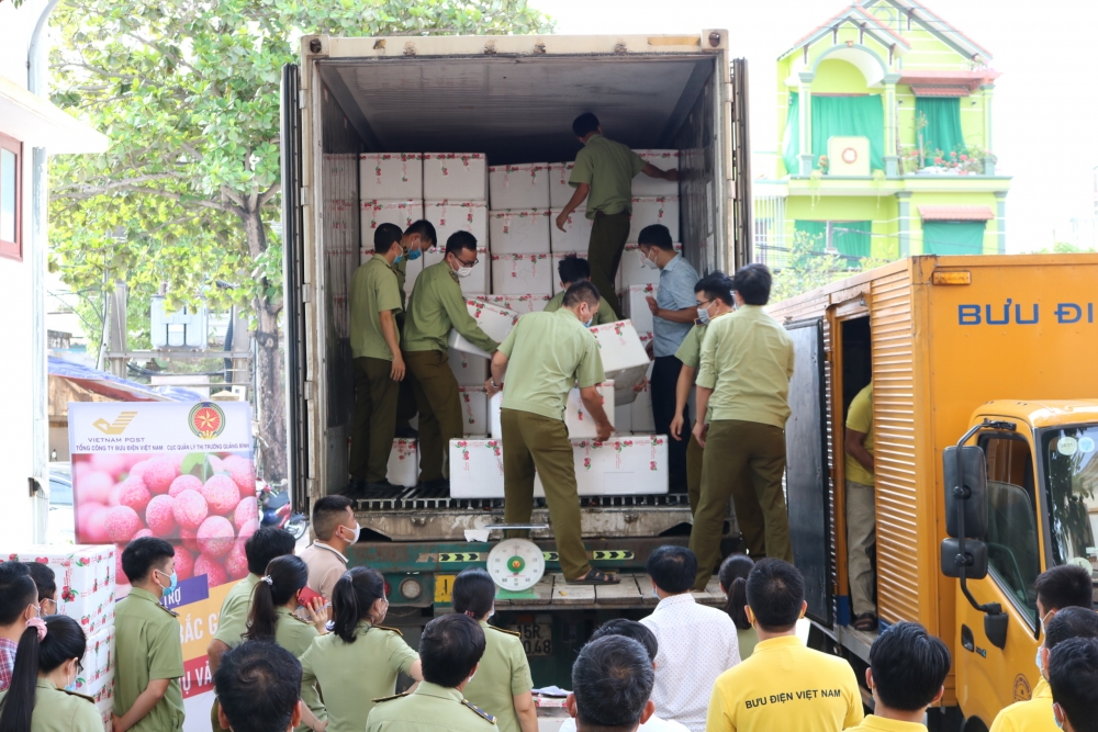 QLTT Quảng Bình: Hỗ trợ tiêu thụ vải thiều Bắc Giang