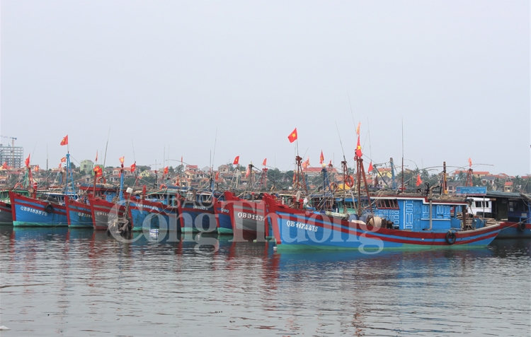 thua thien hue keu goi tau thuyen vao bo dam bao cong trinh ho dap thuy dien