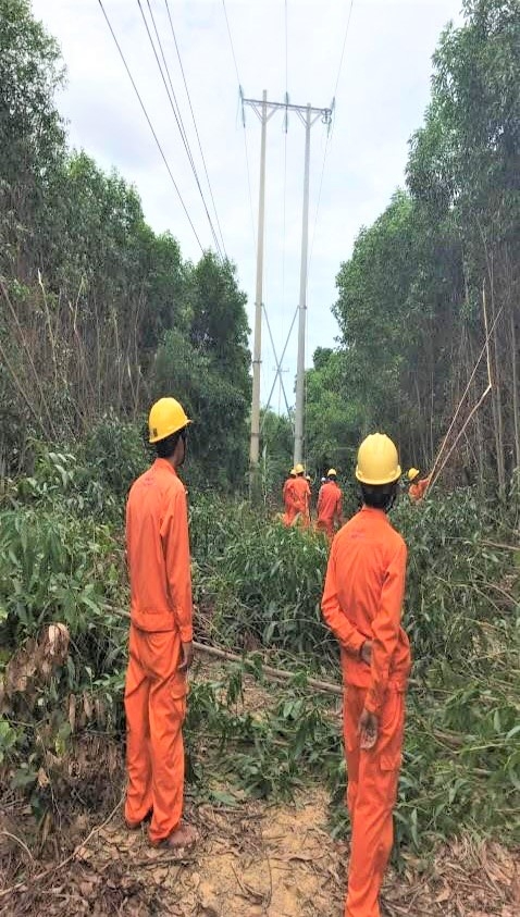 nganh dien thua thien hue chu dong phong chong su co thien tai truoc mua mua bao