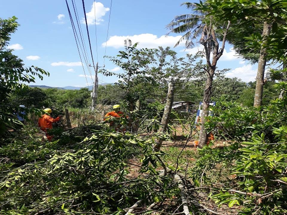 phu yen nong tinh trang vi pham dien