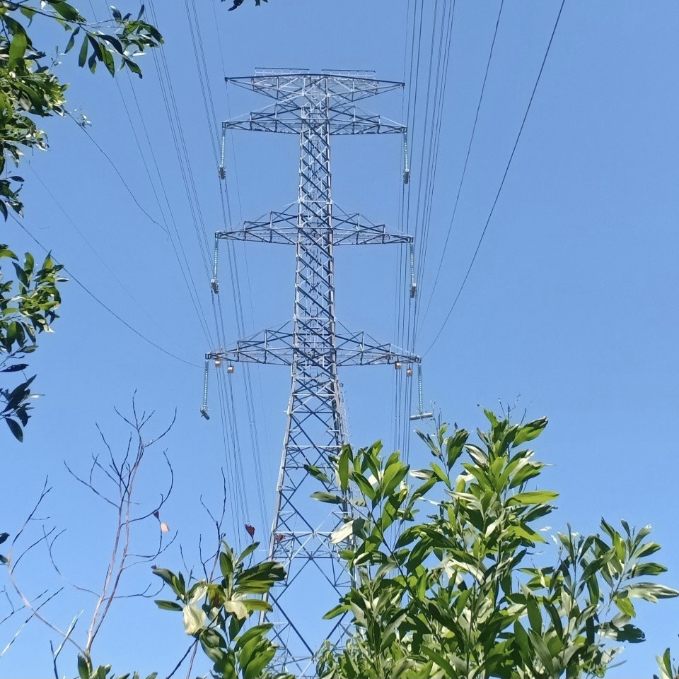 Đại Lộc- Quảng Nam: Hoàn tất công tác bồi thường Dự án đường dây 500kV Quảng Trạch- Dốc Sỏi